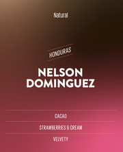 Nelson Dominguez Honduras