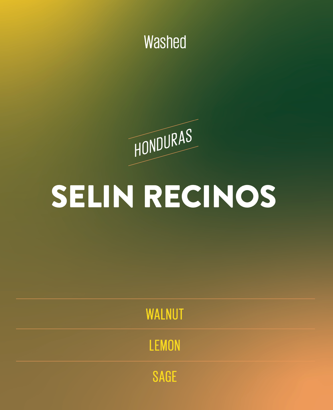 Selin Recinos Honduras