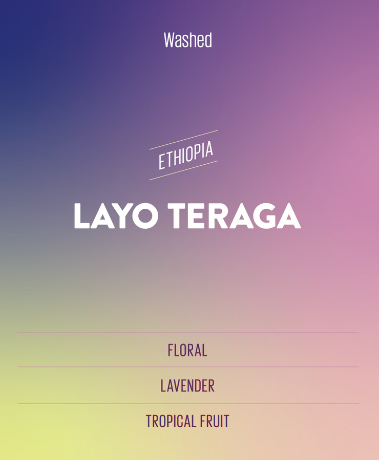 Layo Terega, Ethiopia