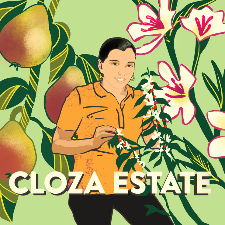 Cloza Estate Costa Rica