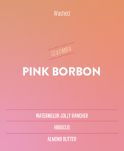 Pink Borbon Colombia